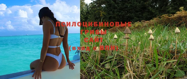 apvp Медвежьегорск