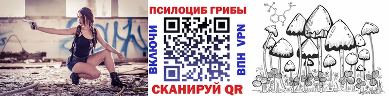 магазин  наркотиков  Нерехта  Псилоцибиновые грибы ЛСД 